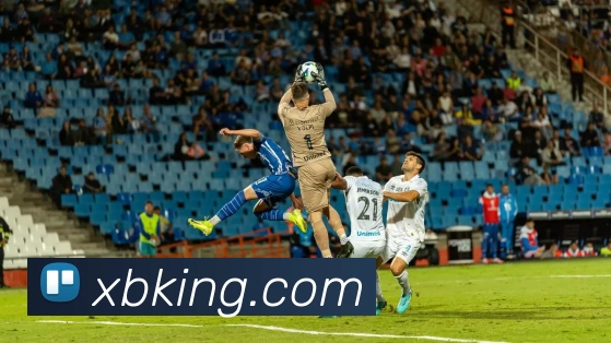 新币娱乐官网APP 体育赛事宣传图